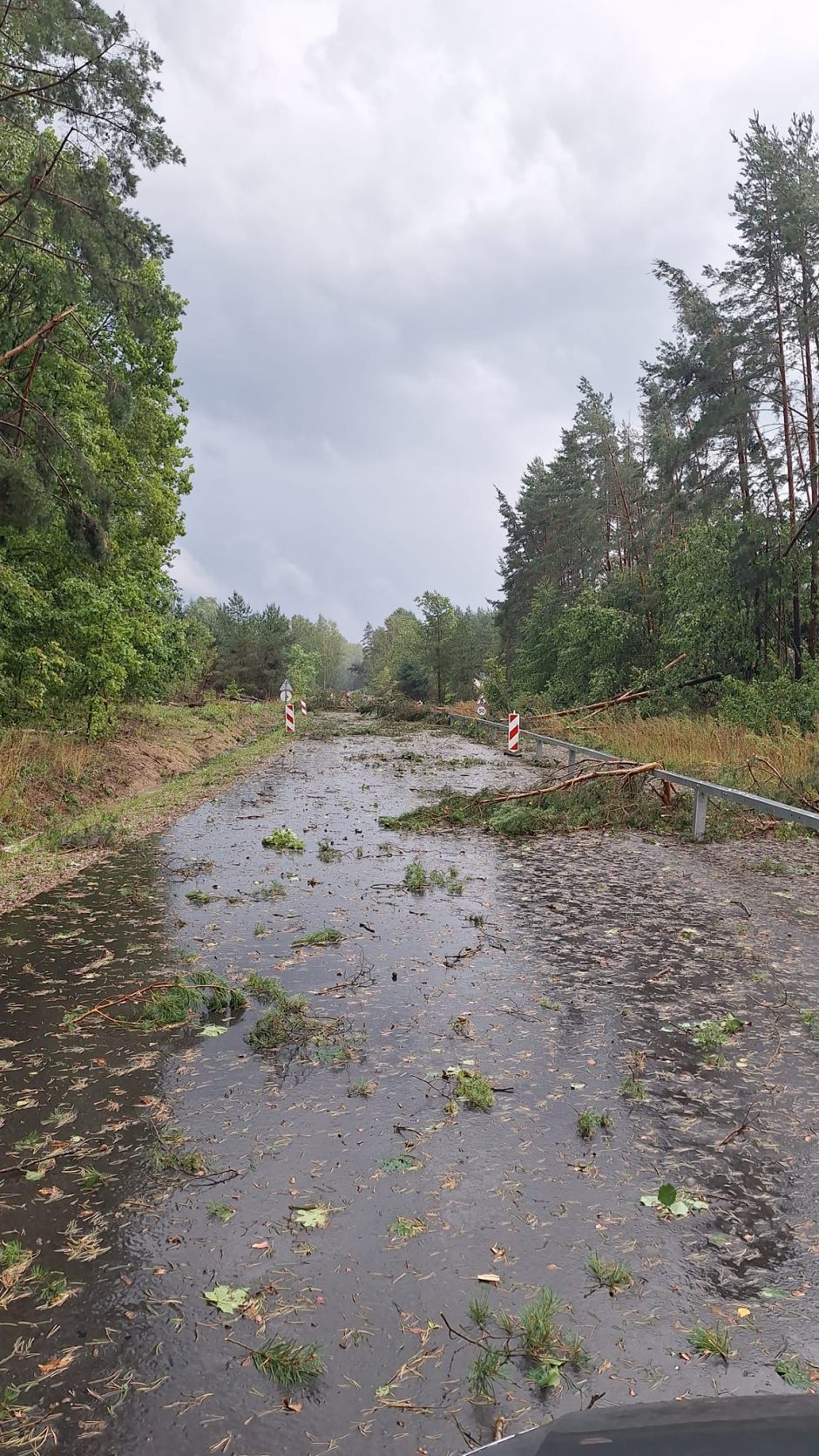 Per Lietuvą slenka audra: kai kur iškrito didžiuliai krušos ledėkai