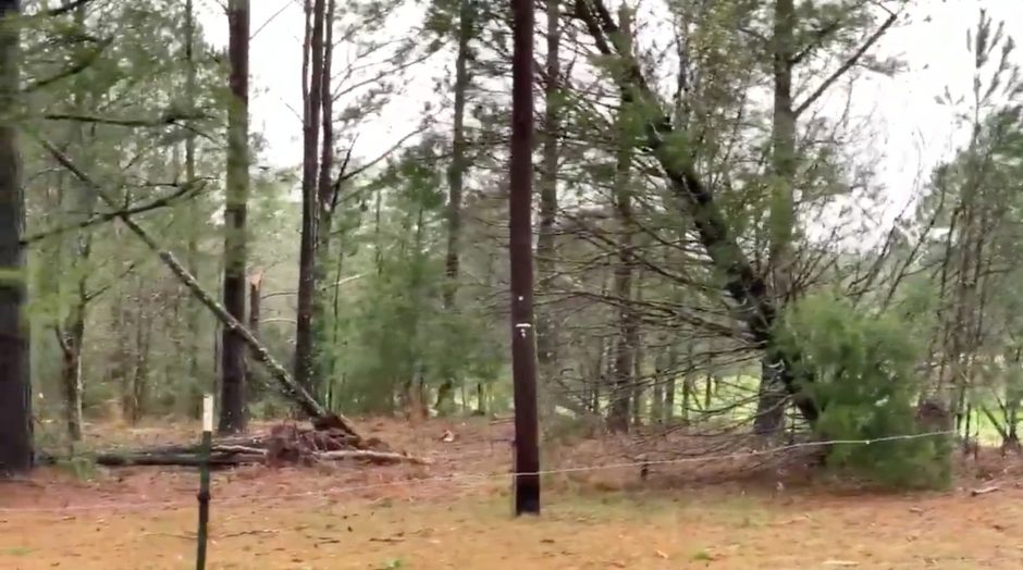 Alabamoje siautėjo mažiausiai 22 gyvybes nusinešęs tornadas