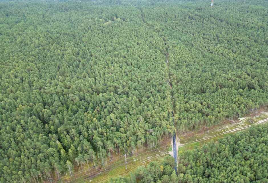 M. Skuodis: naujas dviračių takas planuojamas ir kitoje Kuršių marių pusėje