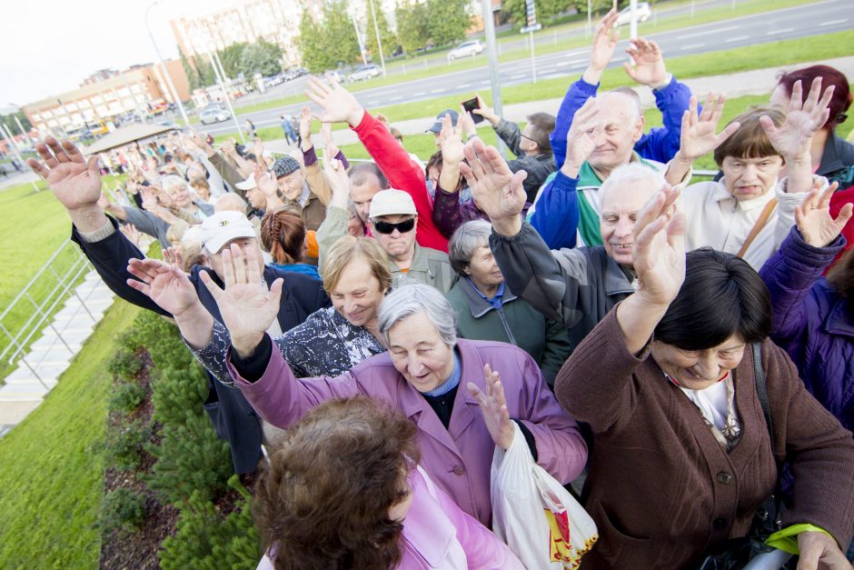 I. Šimonytė apie pensijų reformą: kažkokia abrakadabra