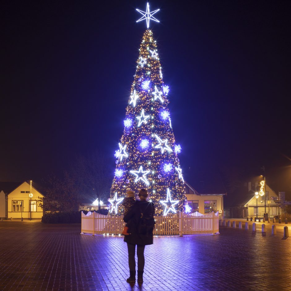 Vilniečių šeima aplankė daugiau nei 40 Lietuvos kalėdinių eglių