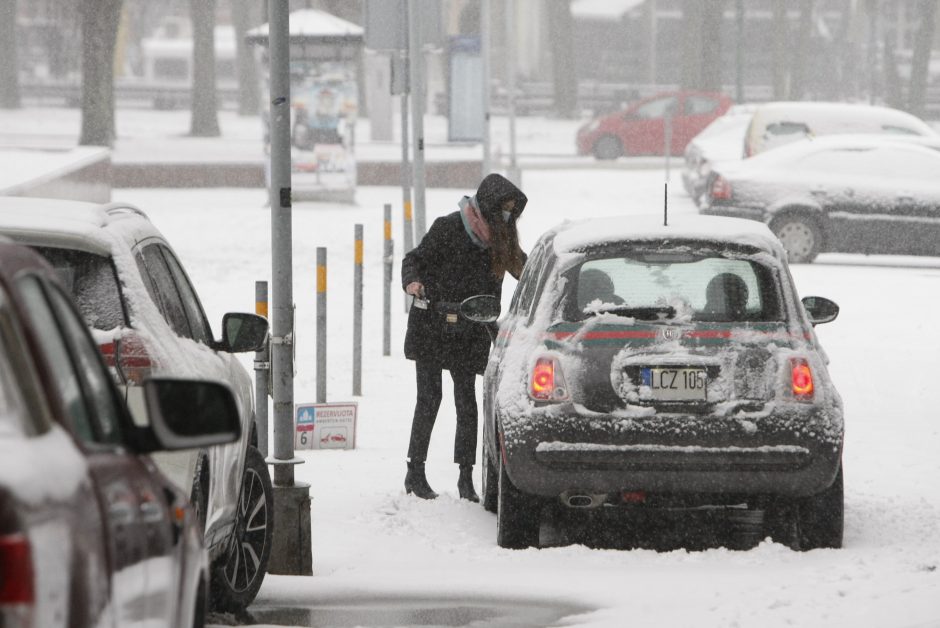 Žiemos iššūkiai klupdo ne tik kelių gaidelius