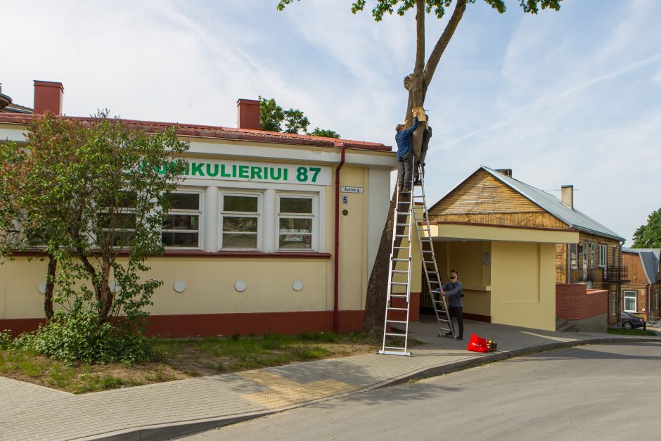 Nauji Kauno akcentai – inkilai giesmininkams