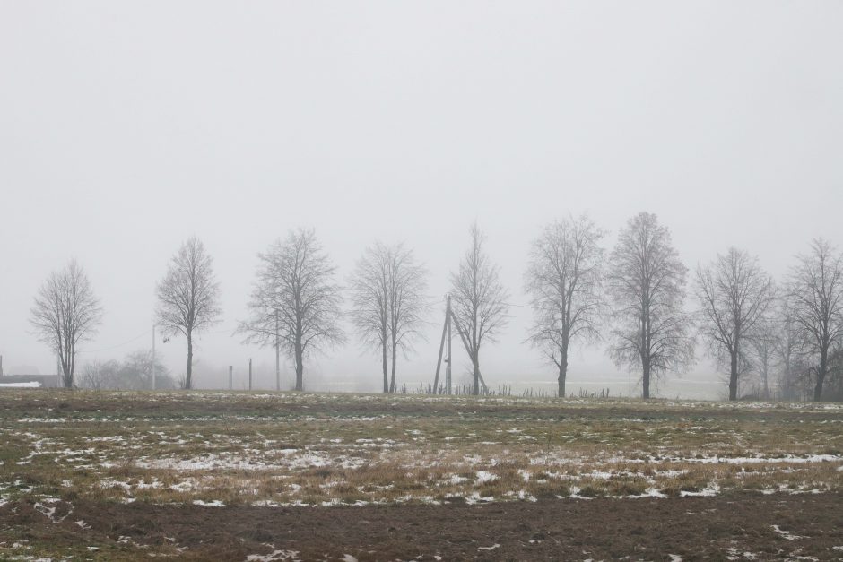 Vakarų Lietuvoje eismo sąlygas sunkina rūkas