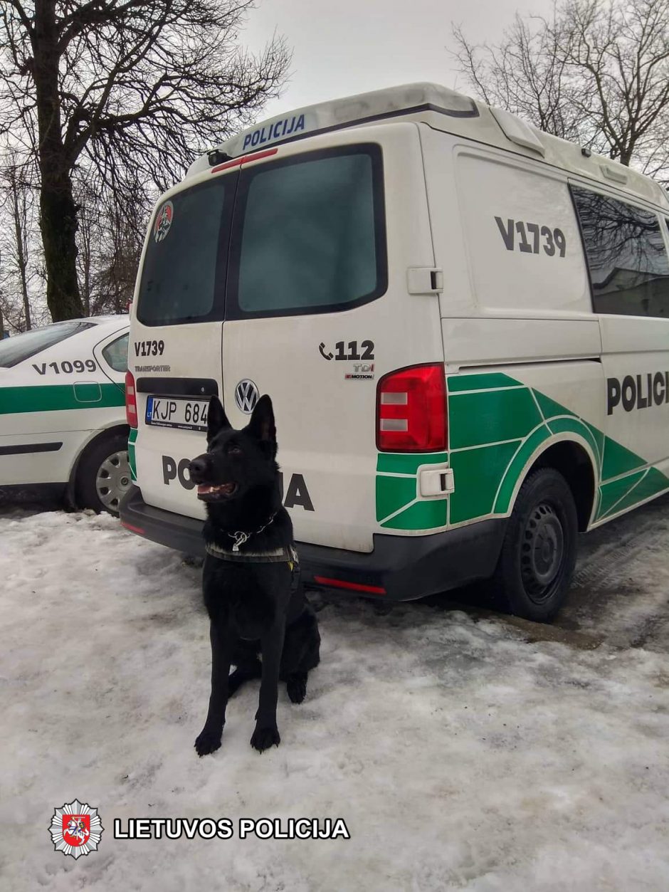 Tarnybinio šuns uoslė neapgavo – automobilyje rasta narkotikų