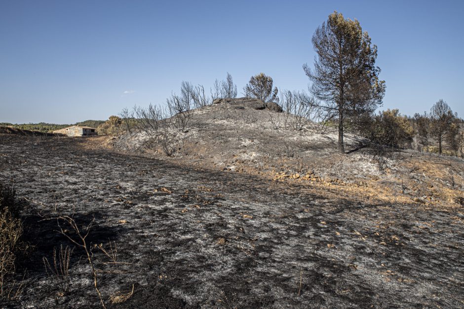 Europoje tęsiantis karščiams ispanai kovoja su naujais gaisrais
