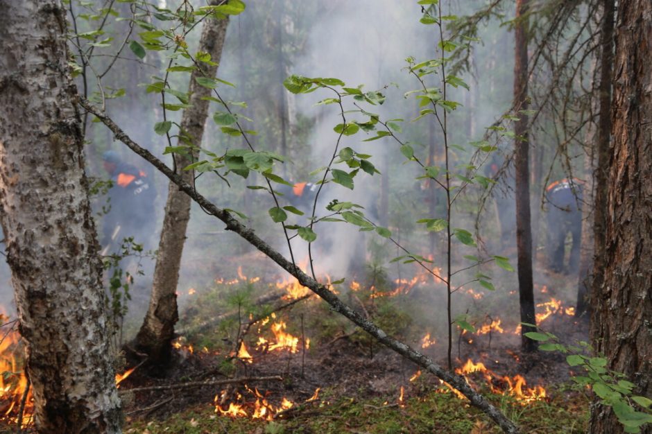 Sibiras dūsta nuo miškų gaisrų sukelto smogo