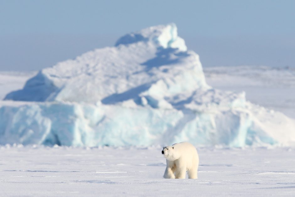 Arkties tyrinėtojas: klimato atšilimas jau gali būti negrįžtamas