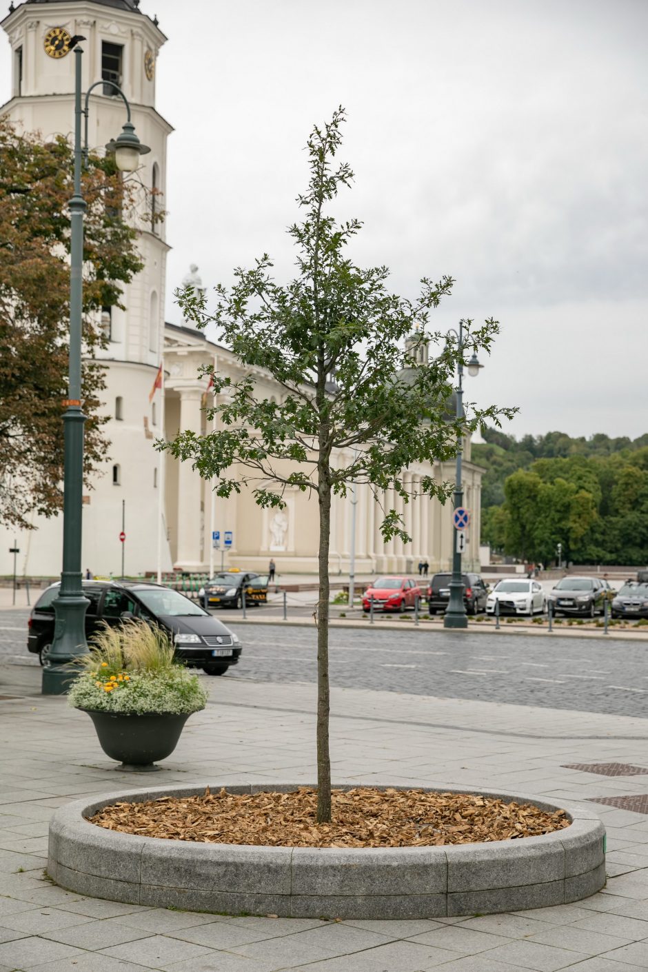 Žaliasis Vilnius: asmenines ir įmonių šventes miestiečiai įamžina sodinukais