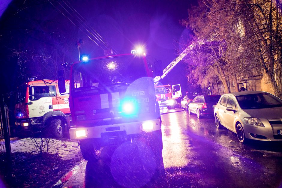 Ugnis ir vagys paliko be nieko: telkiamos pastangos atstatyti senolės butą 