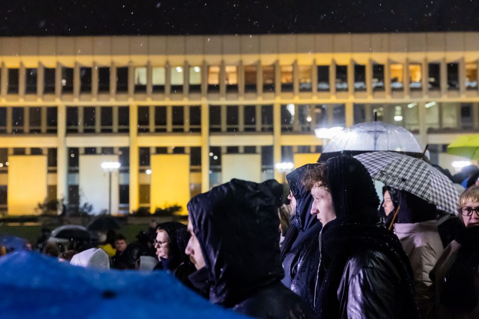 Vienas protesto organizatorių prašo G. Palucko paneigti žodžius apie „Dešimt tylos minučių“