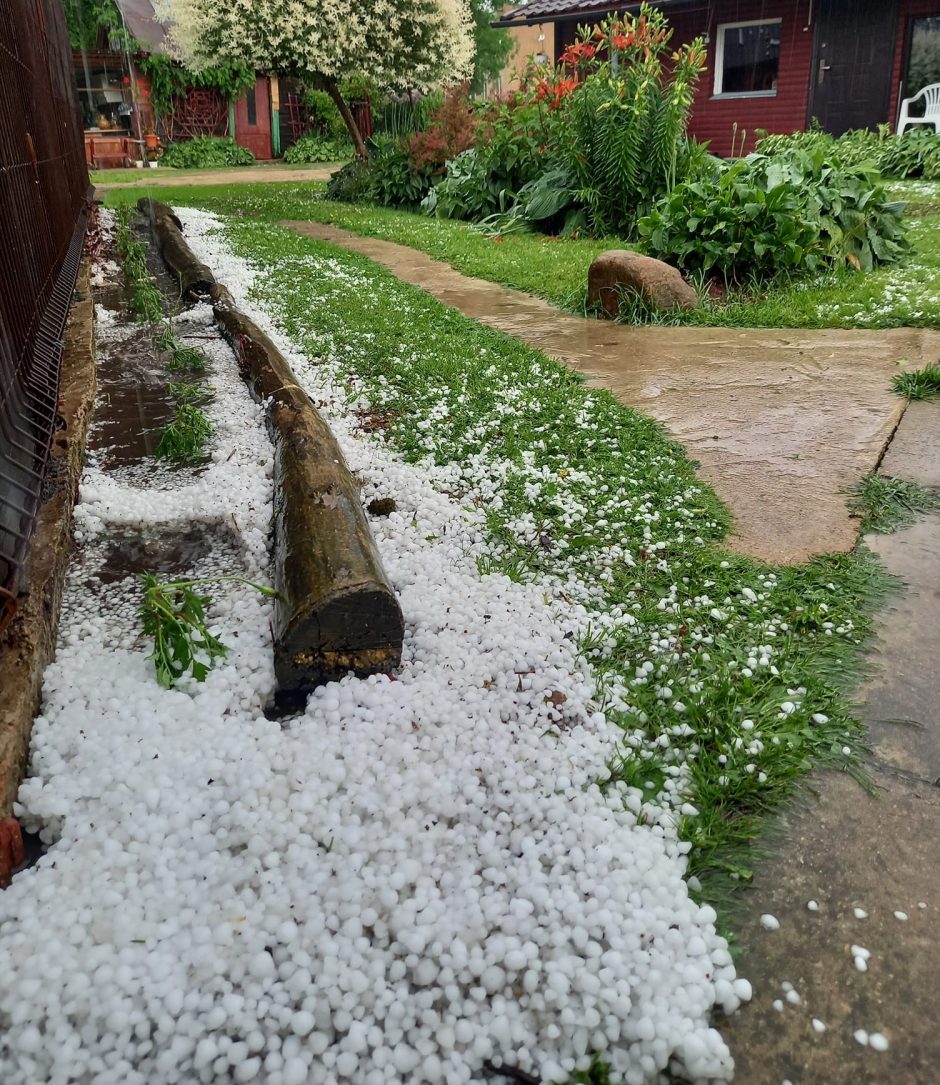 Gamta ir toliau stebina: gegužės pabaigoje – 2 cm dydžio ledėkai