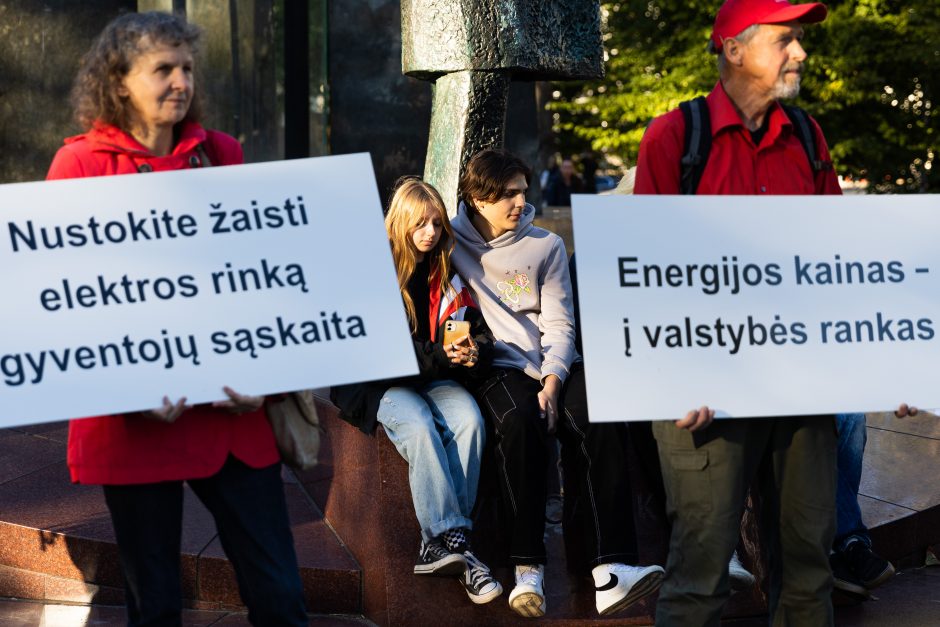 Šimtas žmonių prie Vyriausybės ragino valdžią imtis tvarių sprendimų dėl elektros kainų