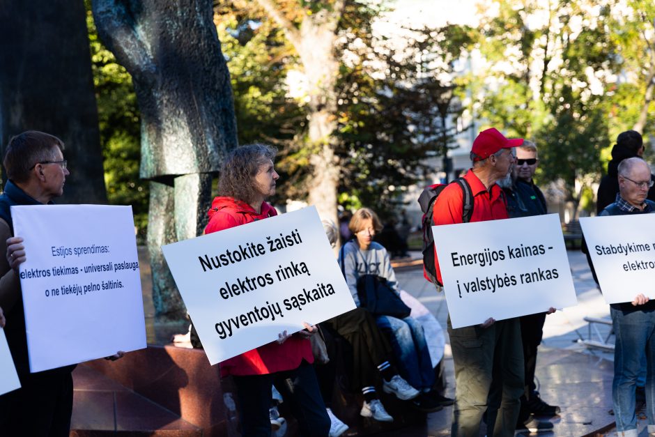 Šimtas žmonių prie Vyriausybės ragino valdžią imtis tvarių sprendimų dėl elektros kainų