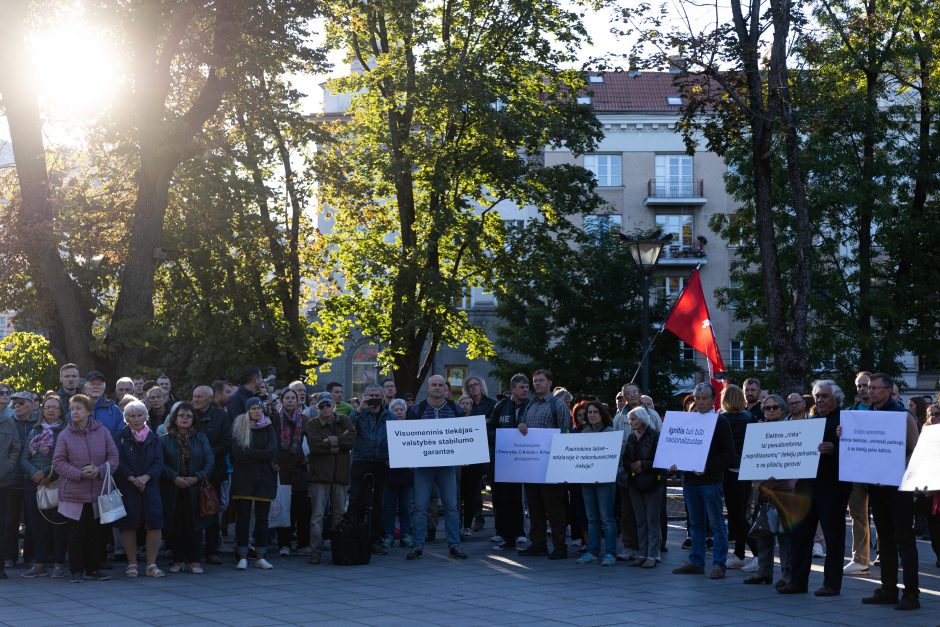 Šimtas žmonių prie Vyriausybės ragino valdžią imtis tvarių sprendimų dėl elektros kainų