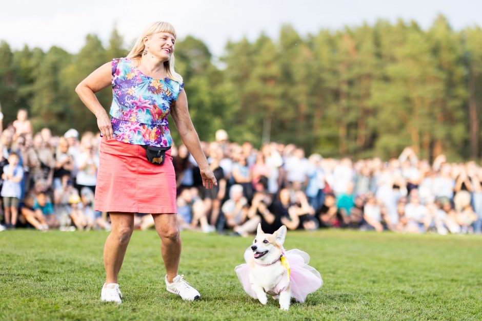 Vingio parke – korgių lenktynės: tiek mielumo vienoje vietoje seniai nematėte