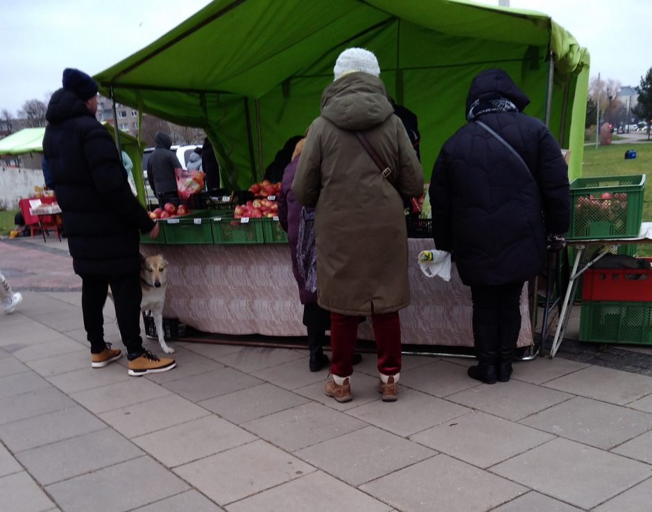 Žiema Ūkininkų turgaus Kaune neišvaikė: nepigu, tačiau pirkėjų netrūksta