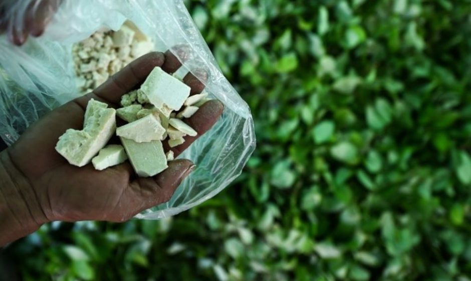 JT: 2022 metais Kolumbijoje pasiektas naujas kokaino gamybos rekordas