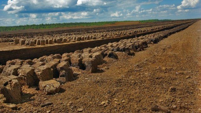 Durpininkai ieško galimybių daugiau jų panaudoti šildymui