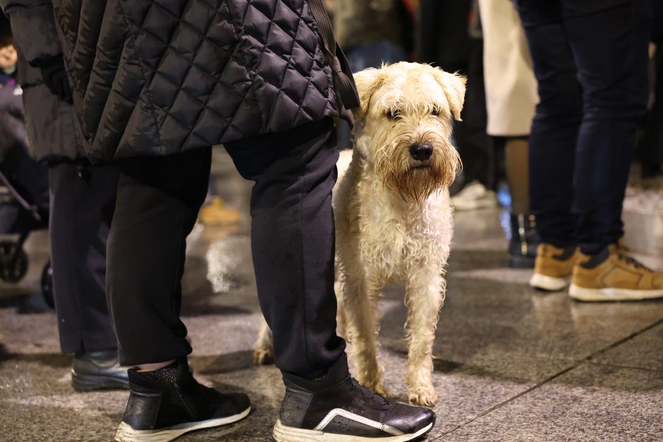 Protestuotojai Kaune: sunku suvokti, kas vyksta