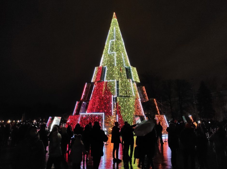 Vilnius per Naujuosius metus ribos patekimą prie Kalėdų eglučių