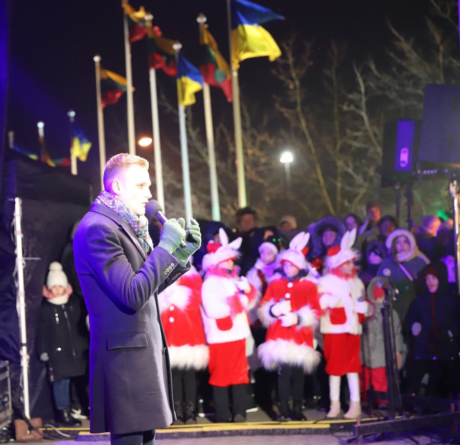 Mažeikiuose sužibo skraiste apsidengusi Kalėdų eglė