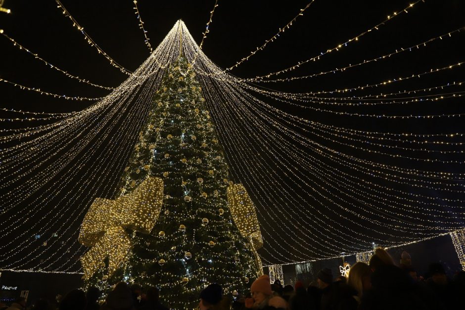 Mažeikiuose sužibo skraiste apsidengusi Kalėdų eglė