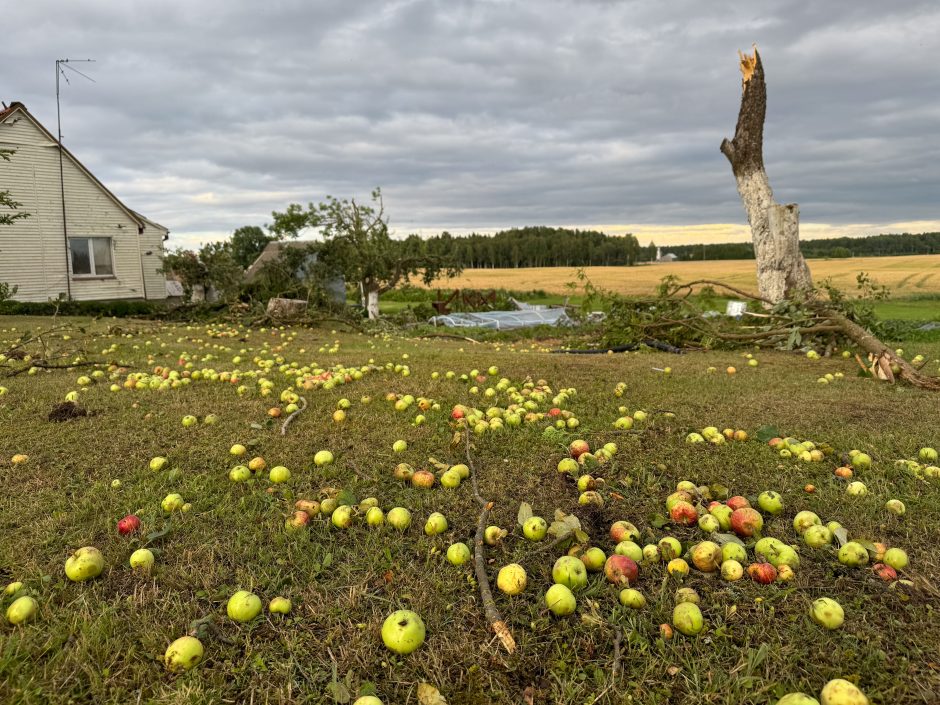 Viesulo padariniai Šiaulių rajone