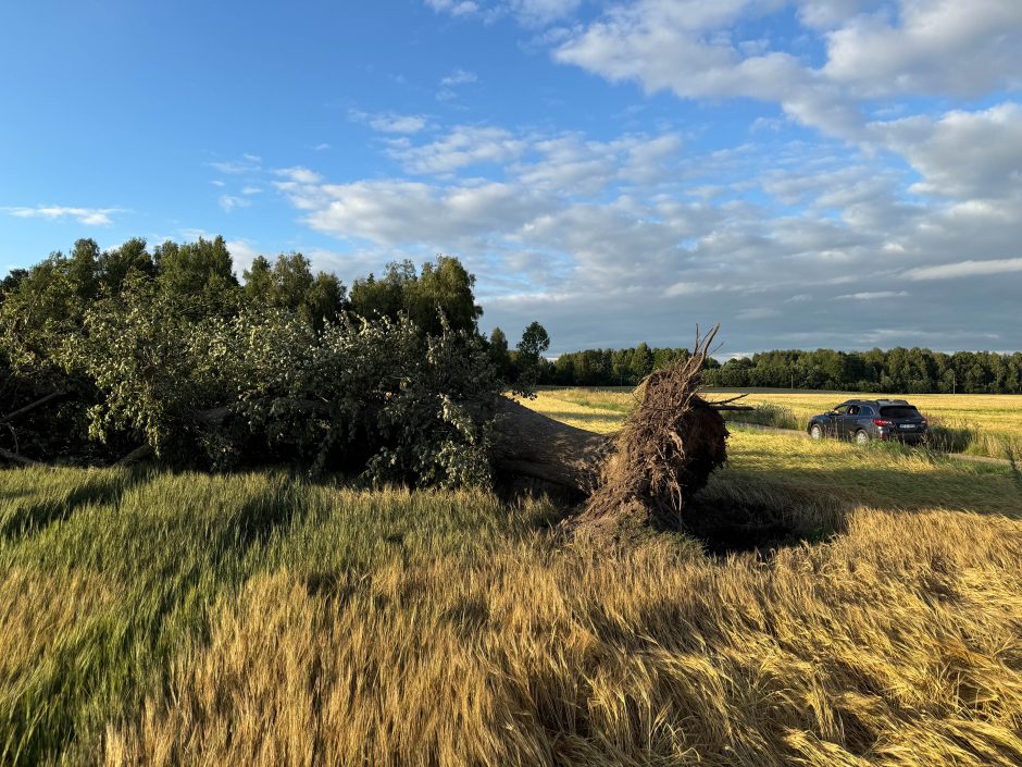 Šiaulių rajono valdžia dėl viesulo padarytų nuostolių gavo 10 paramos prašymų: ko imtasi?