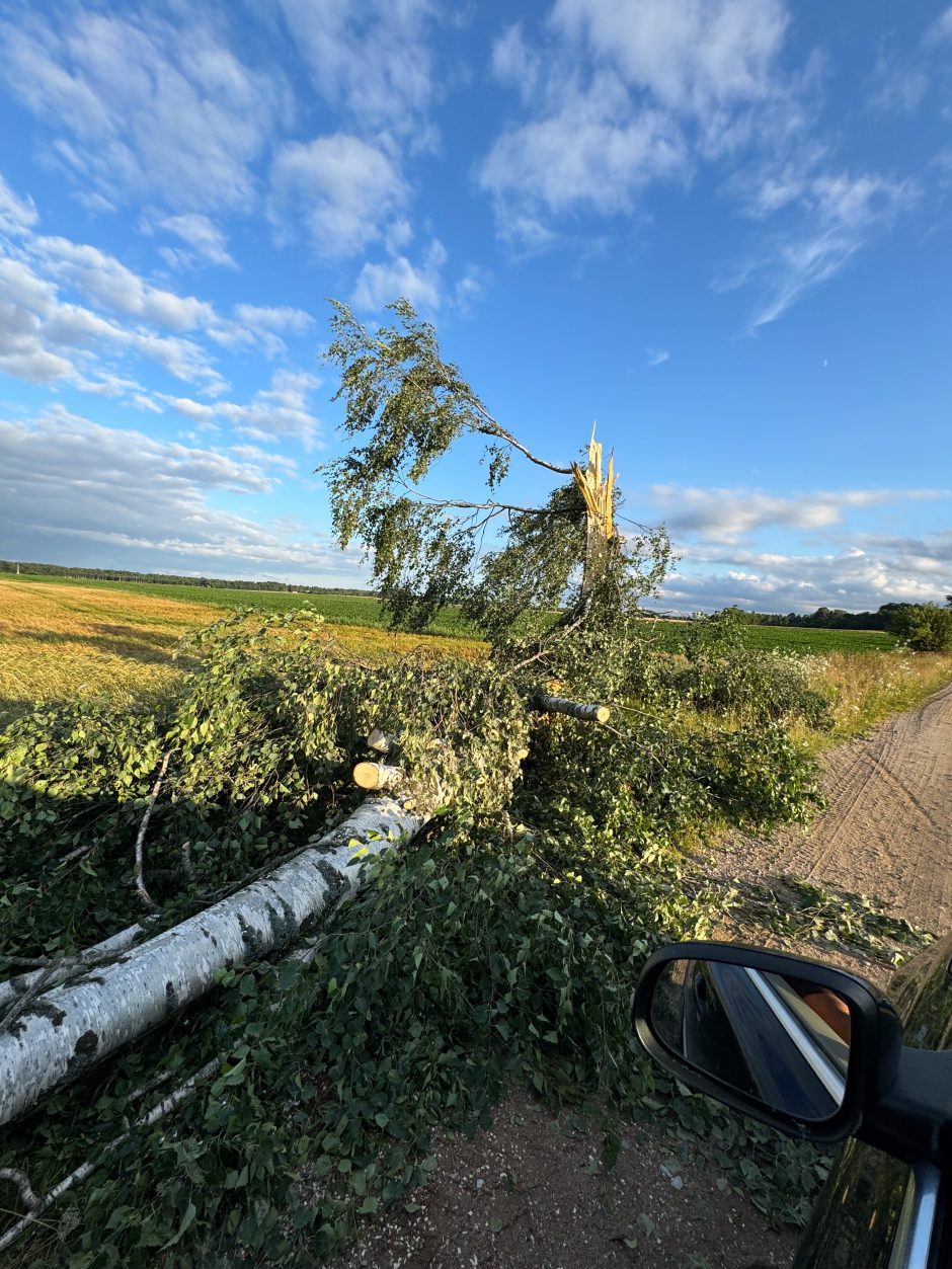 Savaitgalį Lietuvoje užfiksuotas vienas galingiausių viesulų šalies istorijoje