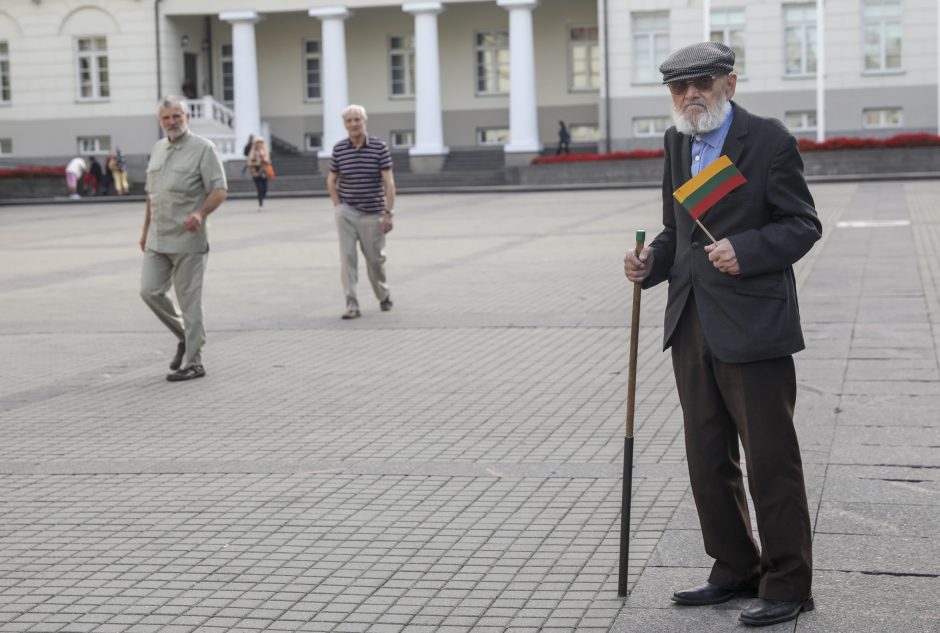 Mitingas S. Daukanto aikštėje: piktinamasi dėl nukabintos Generolo Vėtros lentos 