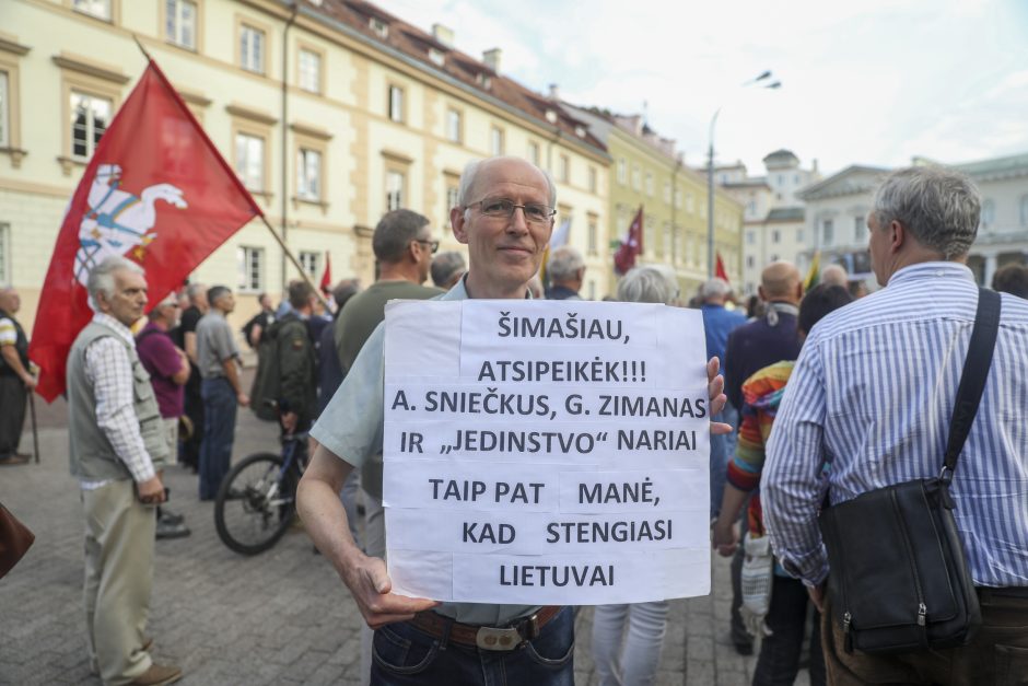 Mitingas S. Daukanto aikštėje: piktinamasi dėl nukabintos Generolo Vėtros lentos 