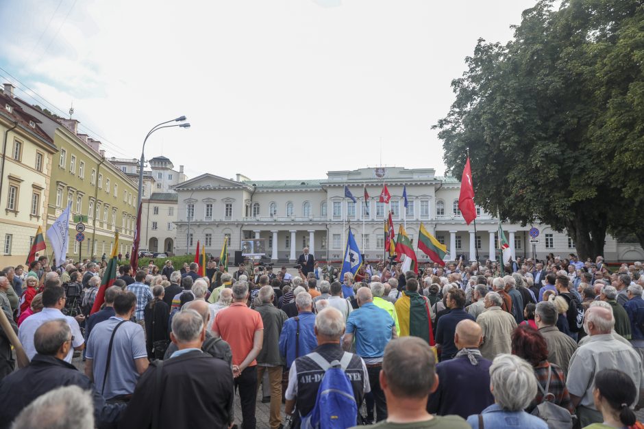 Mitingas S. Daukanto aikštėje: piktinamasi dėl nukabintos Generolo Vėtros lentos 