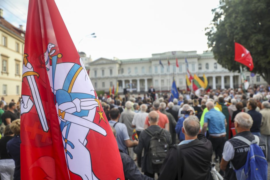 Mitingas S. Daukanto aikštėje: piktinamasi dėl nukabintos Generolo Vėtros lentos 