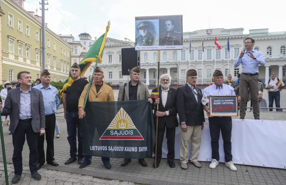 Mitingas S. Daukanto aikštėje: piktinamasi dėl nukabintos Generolo Vėtros lentos 