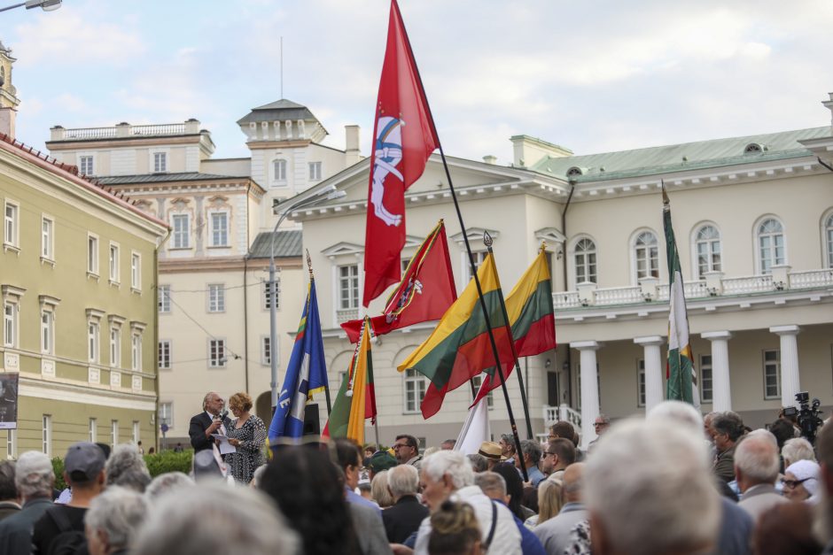 Mitingas S. Daukanto aikštėje: piktinamasi dėl nukabintos Generolo Vėtros lentos 