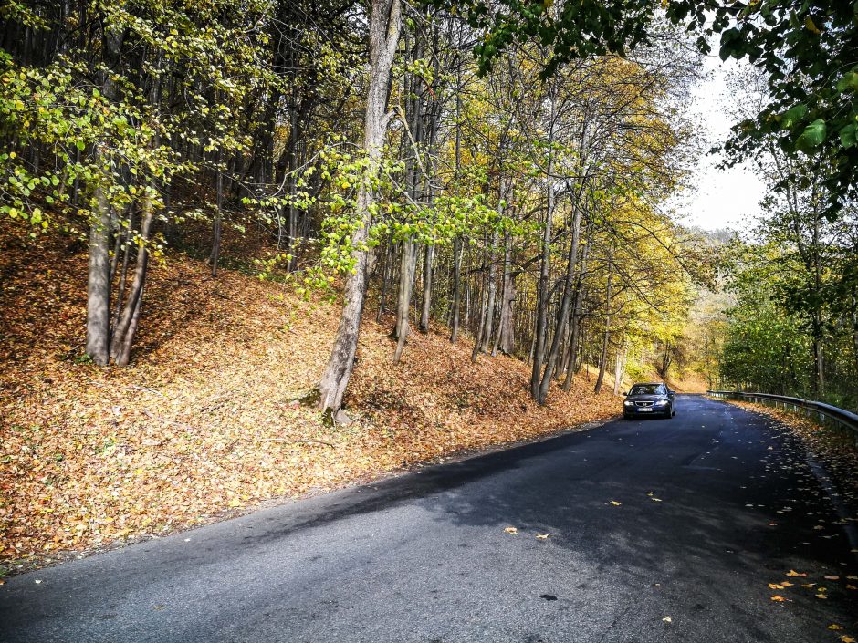 Kelininkai: magistraliniai keliai – sausi, rajoniniai – daug kur šlapi