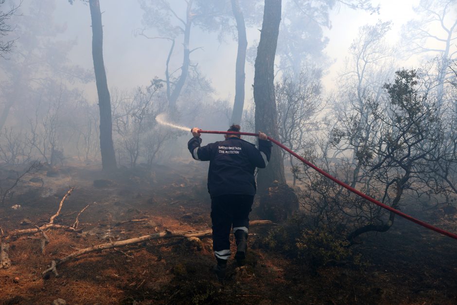 Graikijoje šį birželį registruota dvigubai daugiau gaisrų nei praėjusį