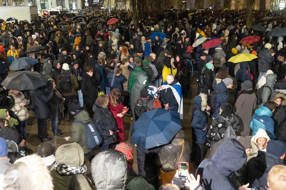 Vienas protesto organizatorių prašo G. Palucko paneigti žodžius apie „Dešimt tylos minučių“