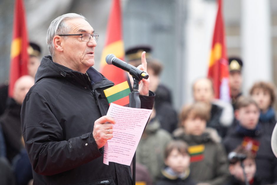 Vilniuje vyko tradicinė vėliavų pakėlimo ceremonija