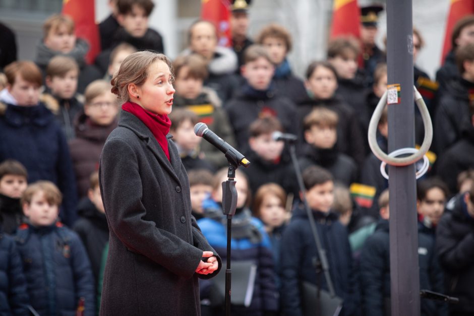 Vilniuje vyko tradicinė vėliavų pakėlimo ceremonija