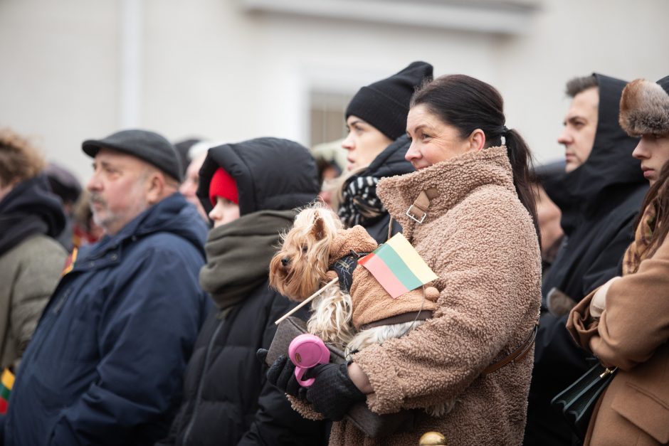 Vilniuje vyko tradicinė vėliavų pakėlimo ceremonija