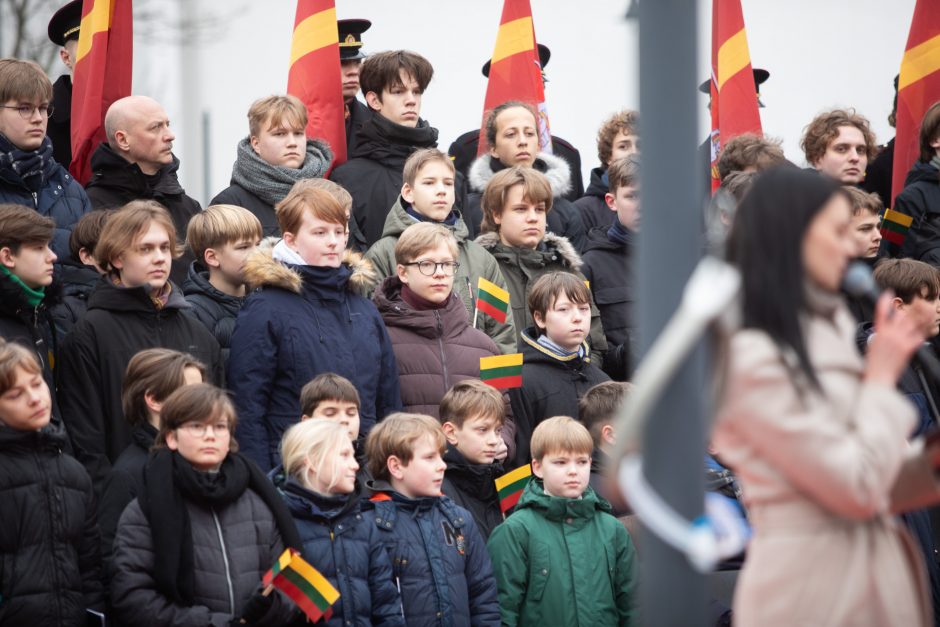 Vilniuje vyko tradicinė vėliavų pakėlimo ceremonija