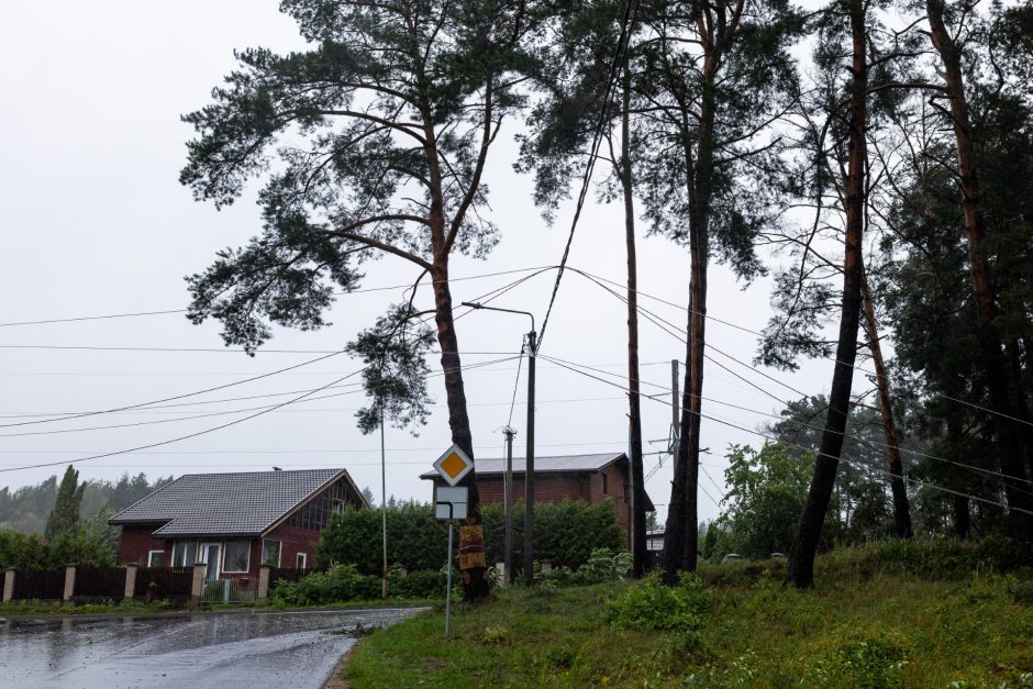 Vilniaus regione 5 gyvenvietėms atkurtas elektros tiekimas