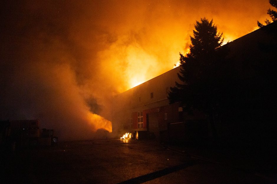 Mokslininkė apie gaisrą „Žalvaryje“: į orą galėjo išsiskirti ypač pavojingi teršalai