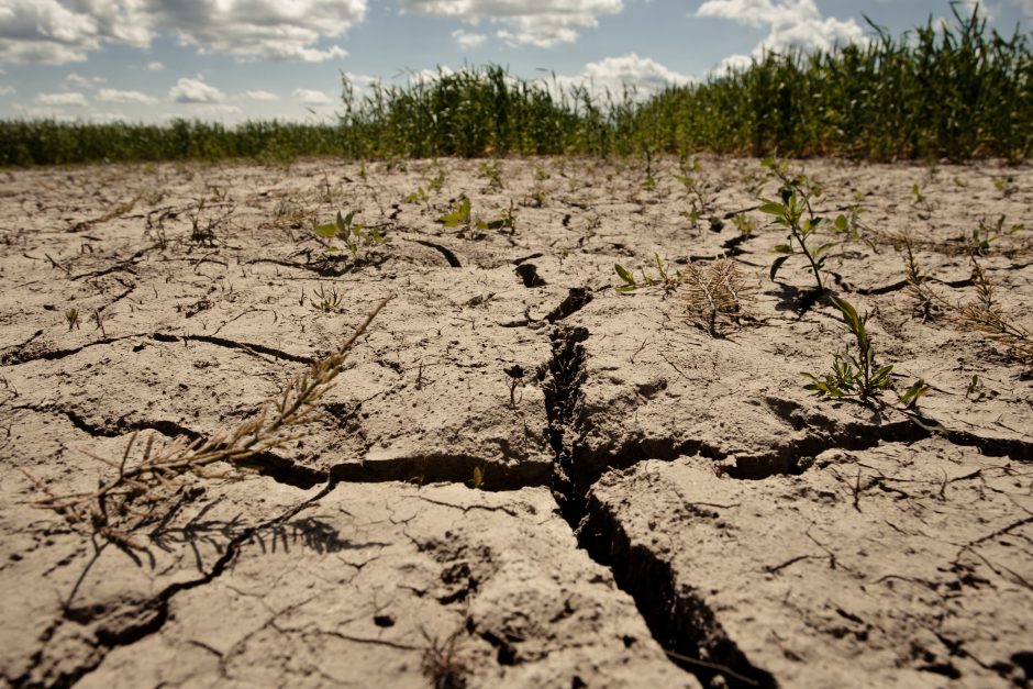 Kas lemia ekstremalią klimato būklę?