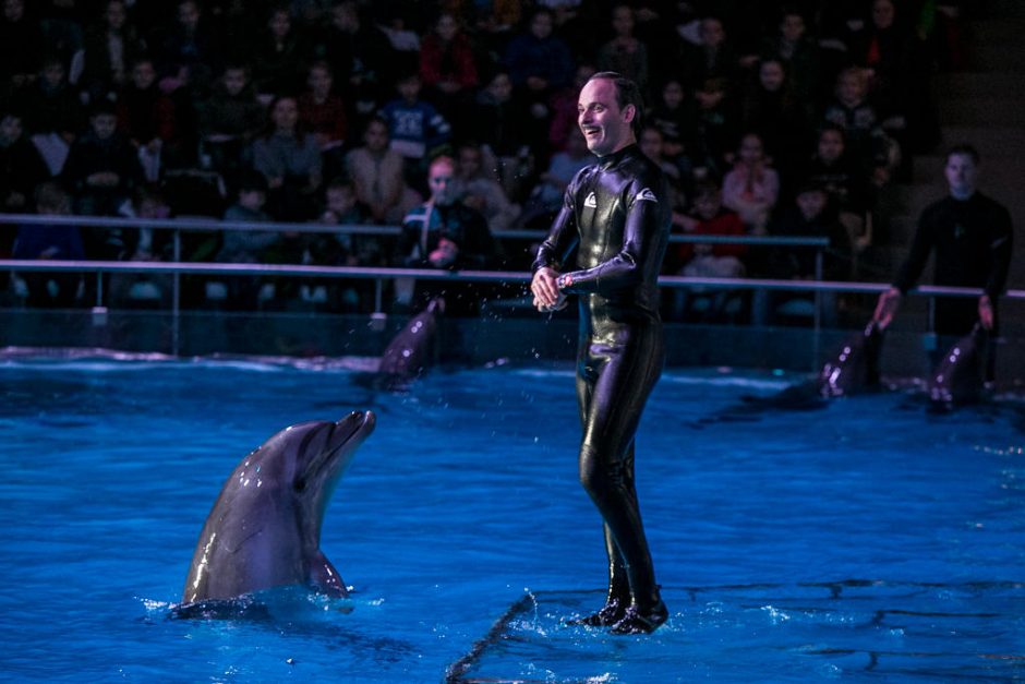 Į delfinariumą grįžęs šokėjas A. Liškauskas: esu jiems daugiau nei žuvis