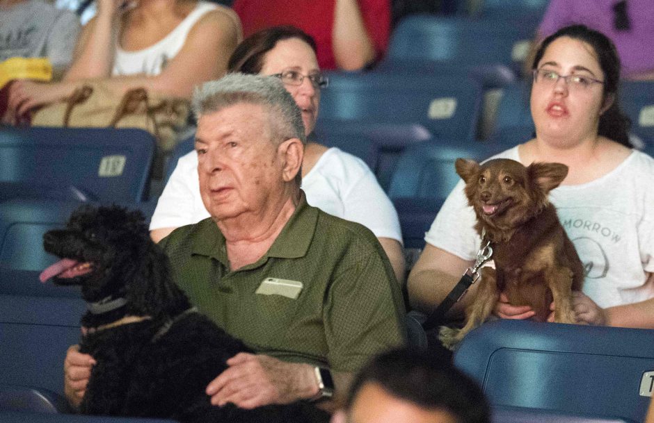 Izraelio kino teatre filmus galima žiūrėti su savo šunimi