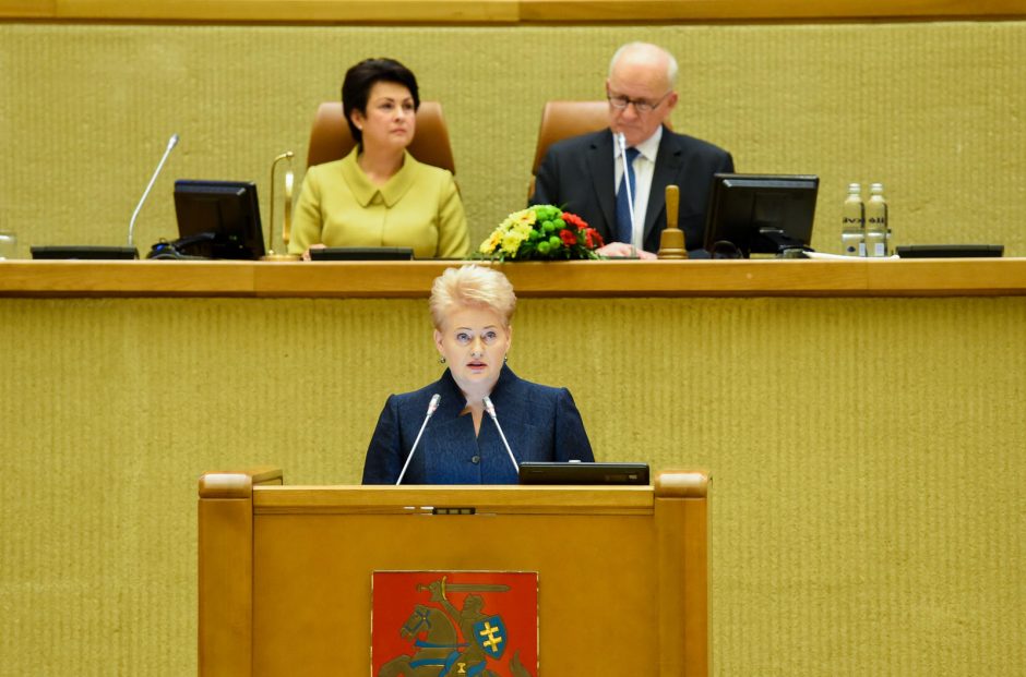 Prezidentė: šis Seimas gali padėti pamatą naujam valstybės raidos etapui