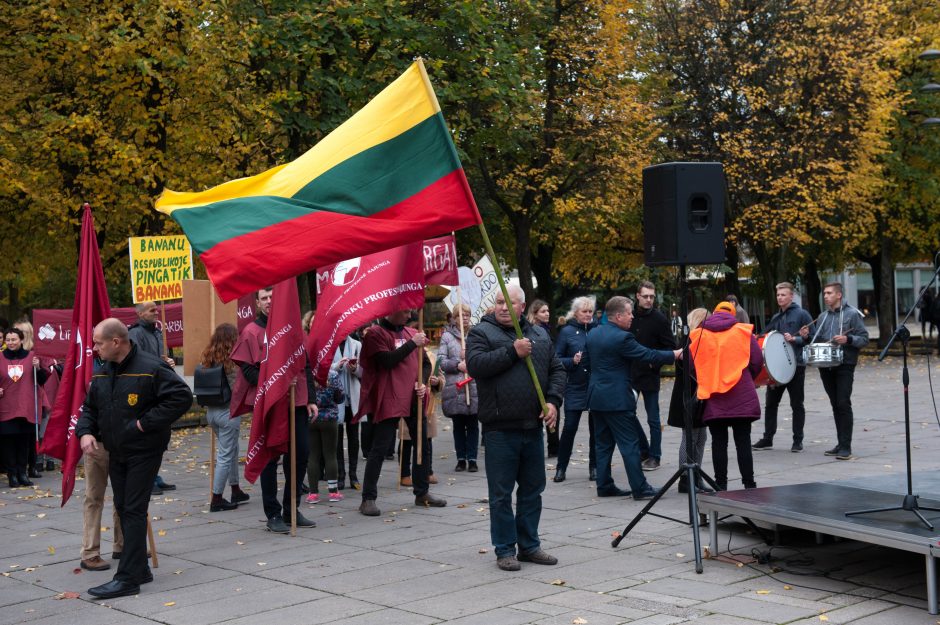 Mitingo prieš skurdą dalyviai apie save: „Biedni ir įsiutę“